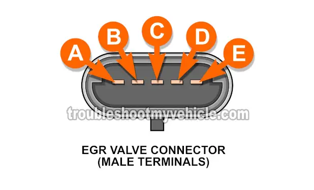 EGR Valve Connector Circuits. How To Test The EGR Valve (1996 2.2L Buick Century And Oldsmobile Cutlass Ciera) EGR Valve Connector Circuits. How To Test The EGR Valve (1996 2.2L Buick Century And Oldsmobile Cutlass Ciera)
