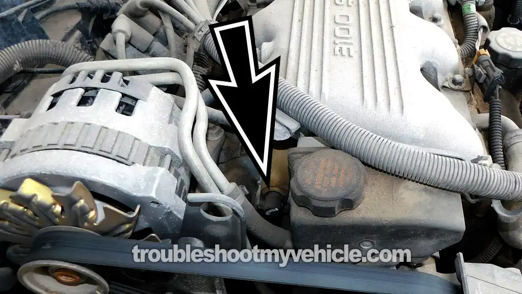 Fuel Pump Test Port Schrader Valve Location. How To Test The Fuel Pump (1994, 1995, 1996, 1997, 1998, 1999, 2000, 2001, 2002, 2003, 2004, 2005 3.1L V6 Buick Century)